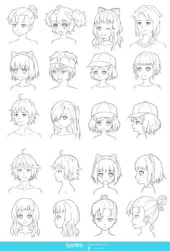 阶段三——头部线稿综合设计