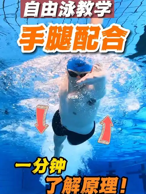 自由泳手腿配合82一分钟了解配合意义与时机