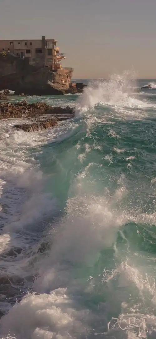 1000_2167竖版 竖屏