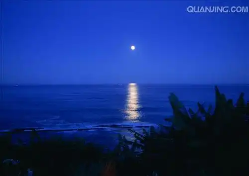 夜海