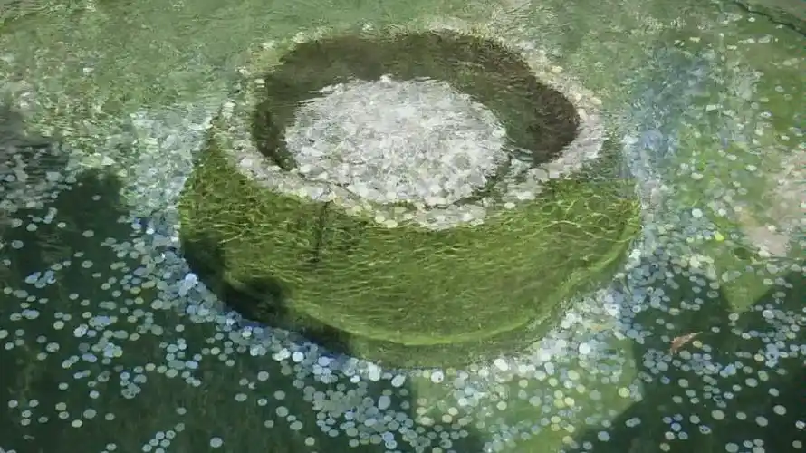 趵突泉里一个忘了叫啥的泉眼