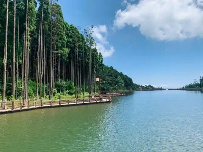 到月亮湖,因为带着娃看过羊狮幕的凌云栈道,明月山的青云栈道是阶梯的