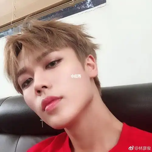 林彦俊的自拍照壁纸3387