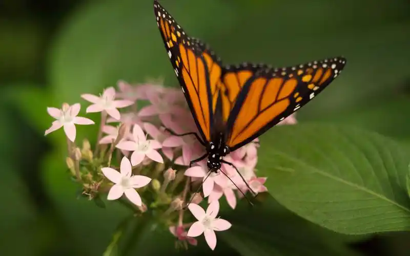15寸笔记本唯美风景高清壁纸