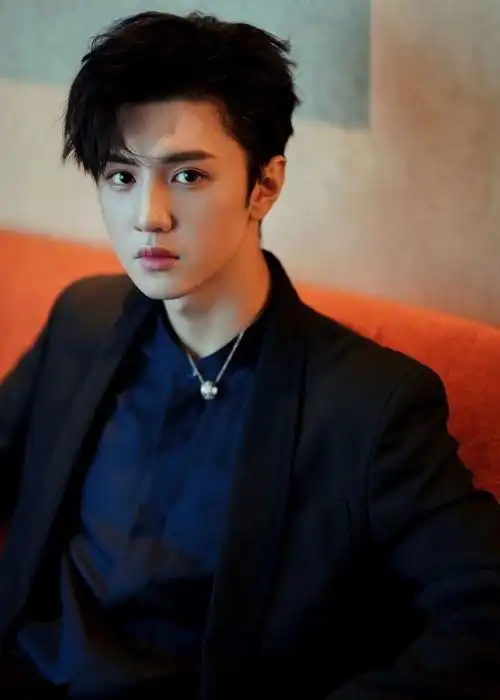 陈哲远图片你是天上星我是追星的人我不辞万里翻山越岭