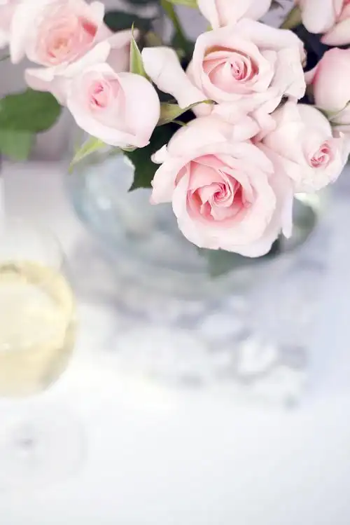 小清新浪漫玫瑰花花瓣图片