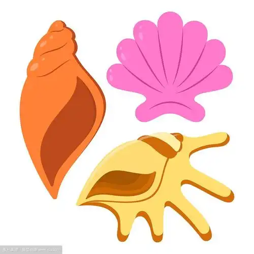 卡通海贝壳孤立在白色
