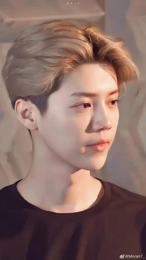 歌手鹿晗##鹿晗可爱国国王