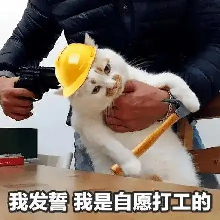 打工人健身图鉴嘘别说话一开口就是老打工人了