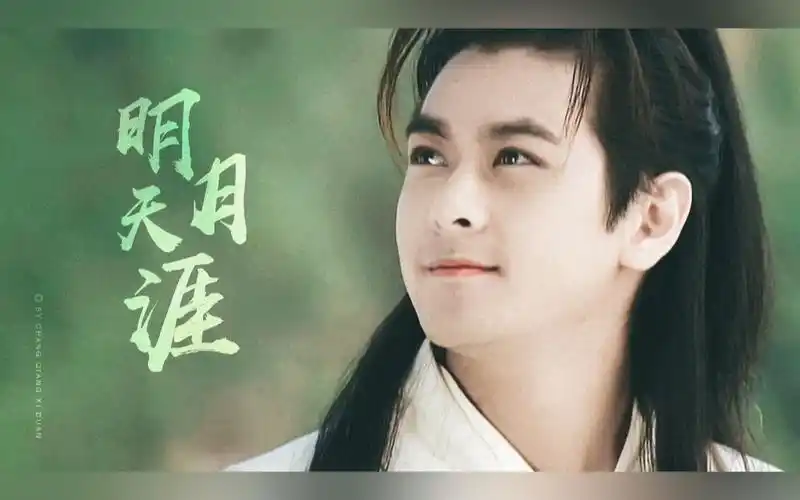 【林志颖】个人燃向丨明月天涯丨混剪