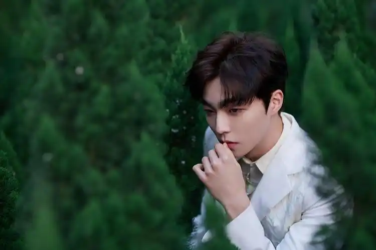 陈立农俊逸清新帅气写真,图库-回车桌面