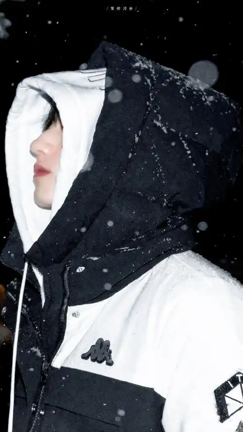 朱志鑫雪景侧颜