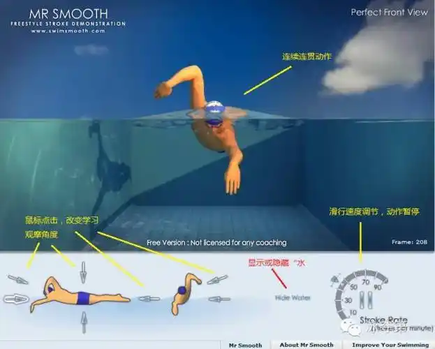 全方位展示自由泳3d视频教学