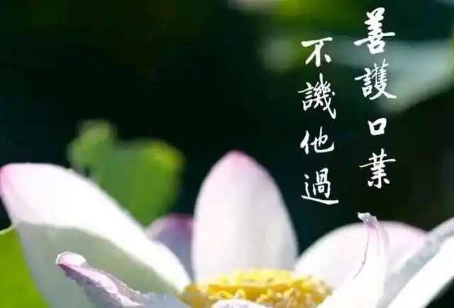 闭嘴是一种修行,做一个有内涵的人