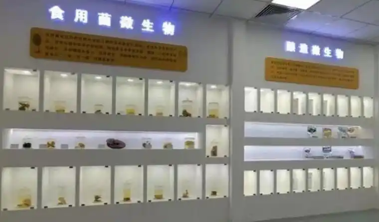 山西农大食用菌种质资源中心实验室:为食用菌产业发展寻径育宝