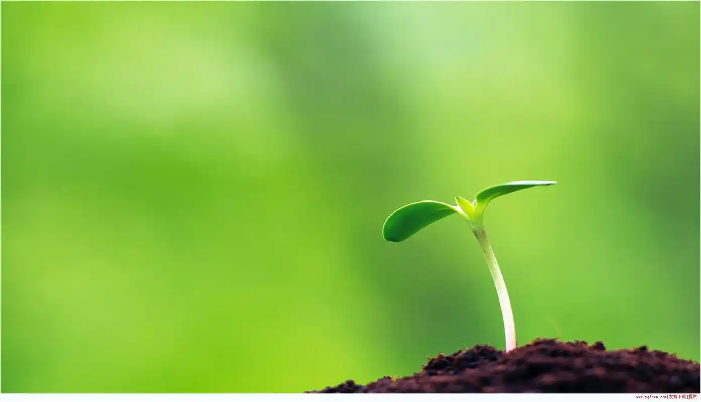 2019年比较个性火爆的说说:去做你害怕的事,害怕自然就会消逝