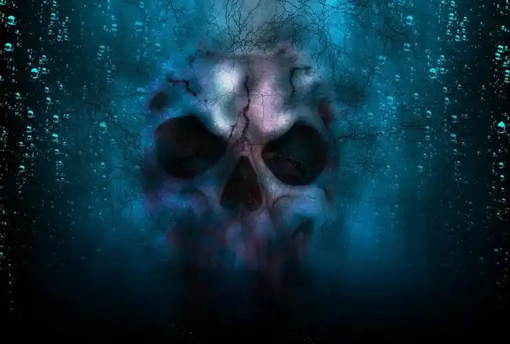 头骨 恐怖 万圣节 死亡 头 骨 骨架 可怕 黑暗 邪恶