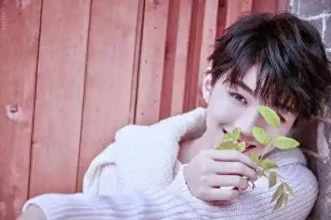 王俊凯遭遇摆拍风波偶像光环下的无奈与坚持引发关注