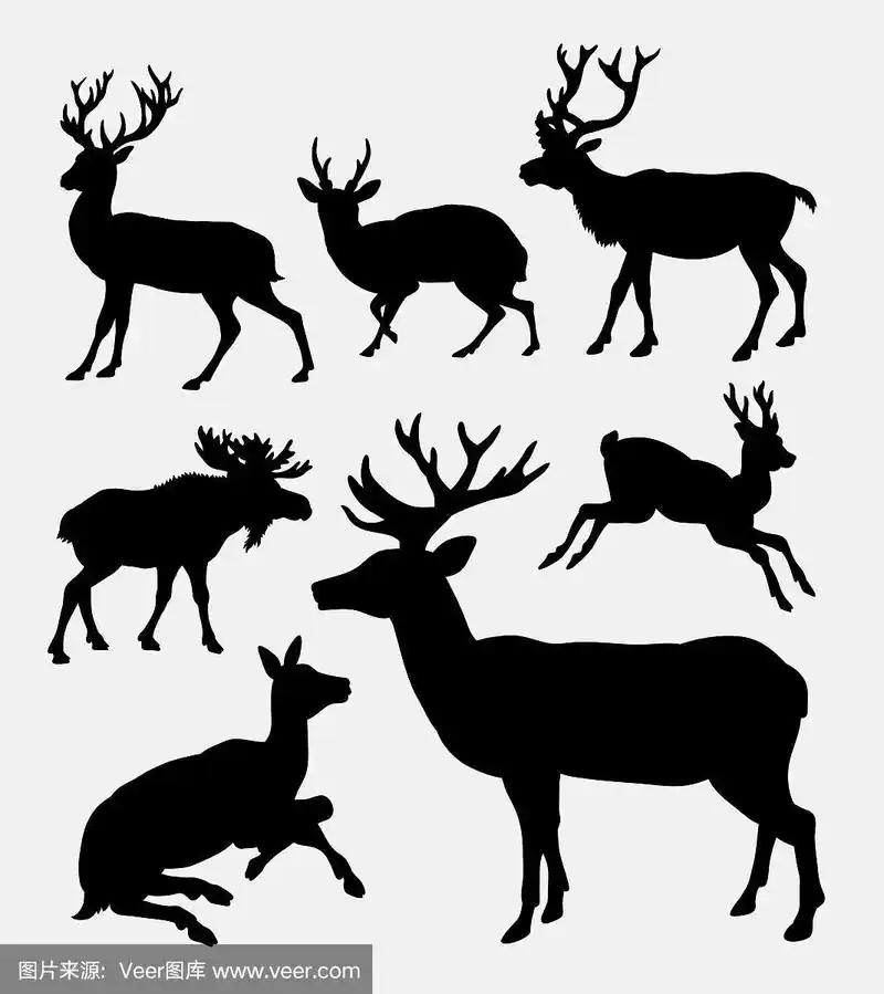 鹿野生动物剪影