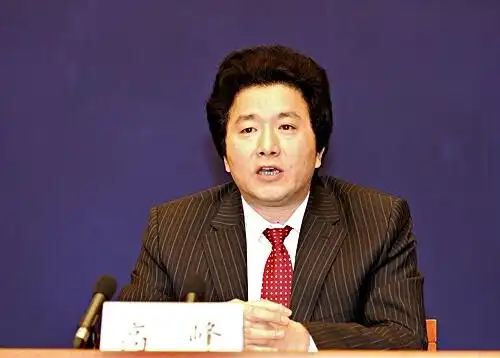 公安部经济犯罪侦察局副局长高峰