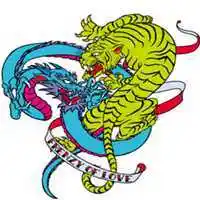 个性霸气龙虎头像龙虎图纹微信头像点击鼠标右键下载