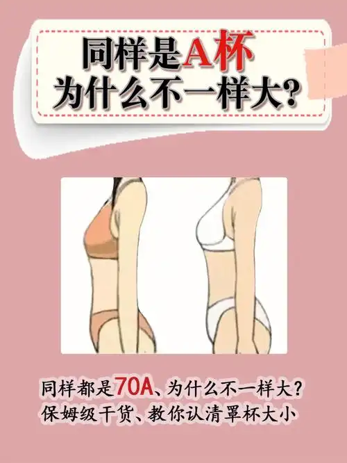 同样是a杯,为什么大小不一样71看完全懂了