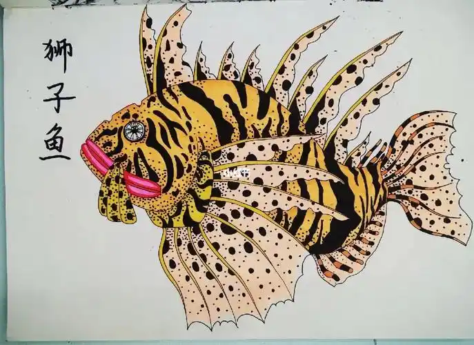 临狮子鱼#绘画  #线描  #鱼 #狮子鱼 #马克笔