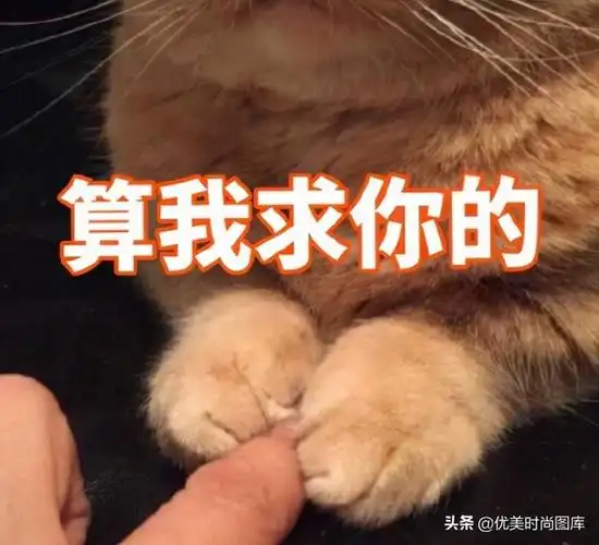 幽默句子图片带字经典语录图片带字