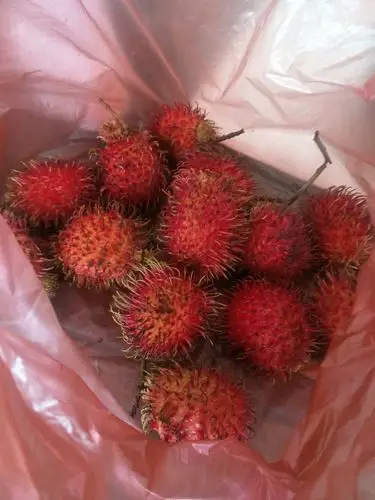 各位宝妈,我现在孕期,能吃红牡丹水果吗?谢谢