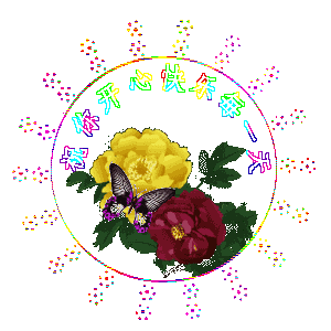 300_300gif 动态图 动图