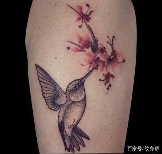蜂鸟纹身的寓意--20款漂亮的蜂鸟纹身图案赏析