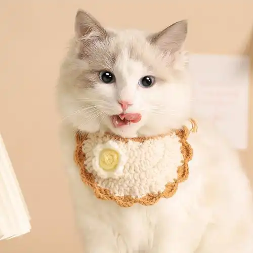 猫咪项圈宠物猫圈装饰脖子狗狗饰品项链编织项圈