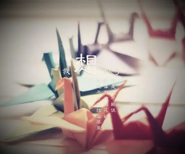 唯美彩色千纸鹤的思念