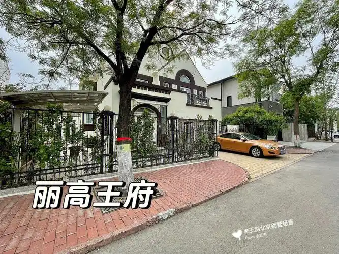 丽高王府德威国际学校顺义妈妈