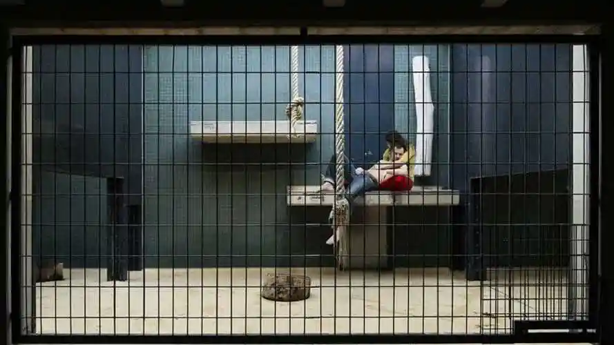 旅游大视界全球最奇特的动物园男女被关笼子里供人观赏满一年给880万