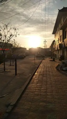 我的vivo手机摄影作品赏析