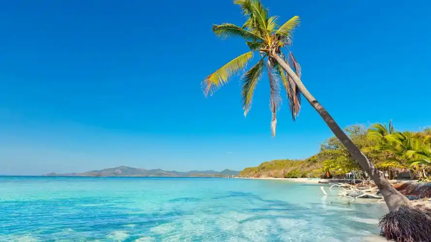 唯美沙滩椰树风景摄影高清宽屏壁纸