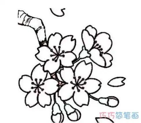 儿童手绘桃花简笔画怎么画简单好看