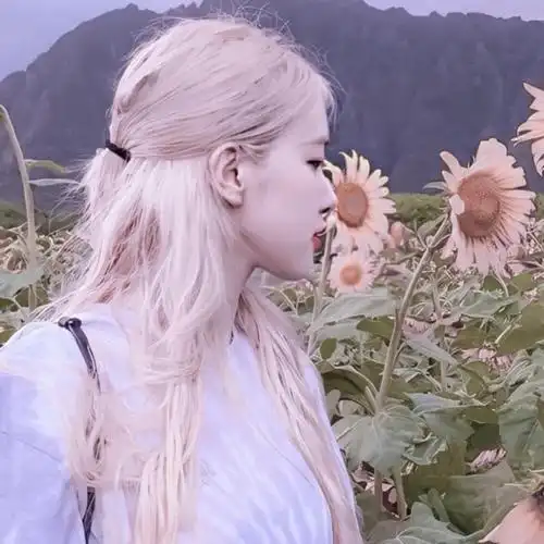 blackpink绝美头像