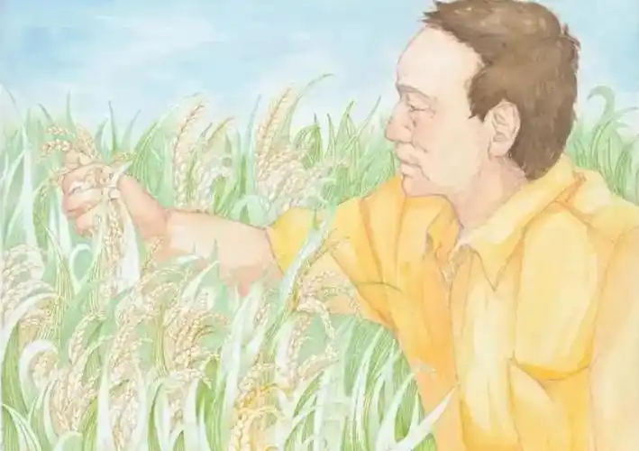 【彩云读书】稻花香里忆国士——读《袁隆平在个旧》_政协之窗_云南频