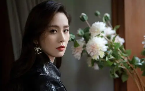 刘诗诗皮衣性感高清桌面壁纸