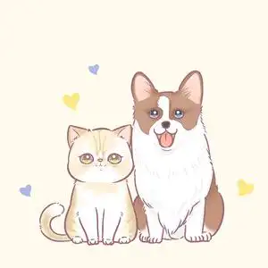 手绘宠物q版水彩写实动物漫画画像定制猫猫咪狗狗照片转卡通头像