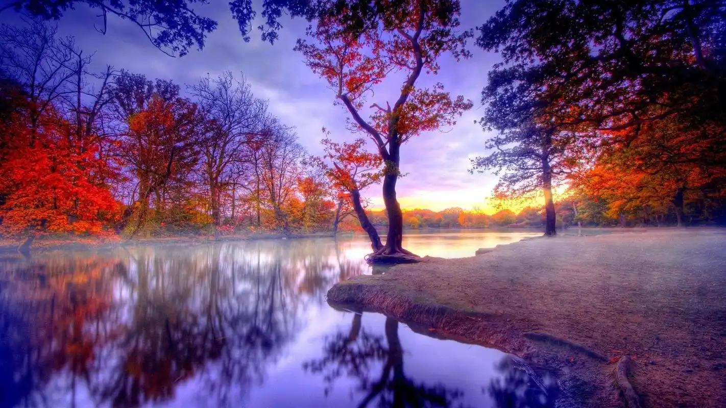 秋天枫叶唯美意境电脑桌面壁纸_风景壁纸_壁纸下载_美桌网