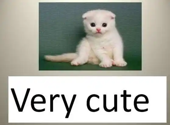 可爱用英语怎么说-可爱用英语怎么说,可爱,用,英语,怎么,说