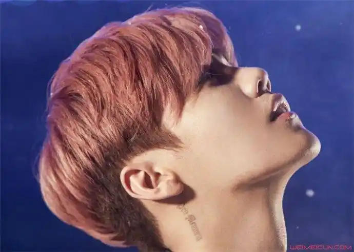 鹿晗爸爸鹿兆许资料 鹿晗家世惊人真的假的