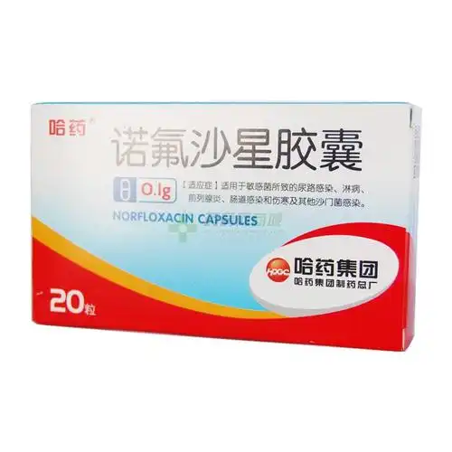 诺氟沙星胶囊(哈药集团制药总厂)-哈药总厂