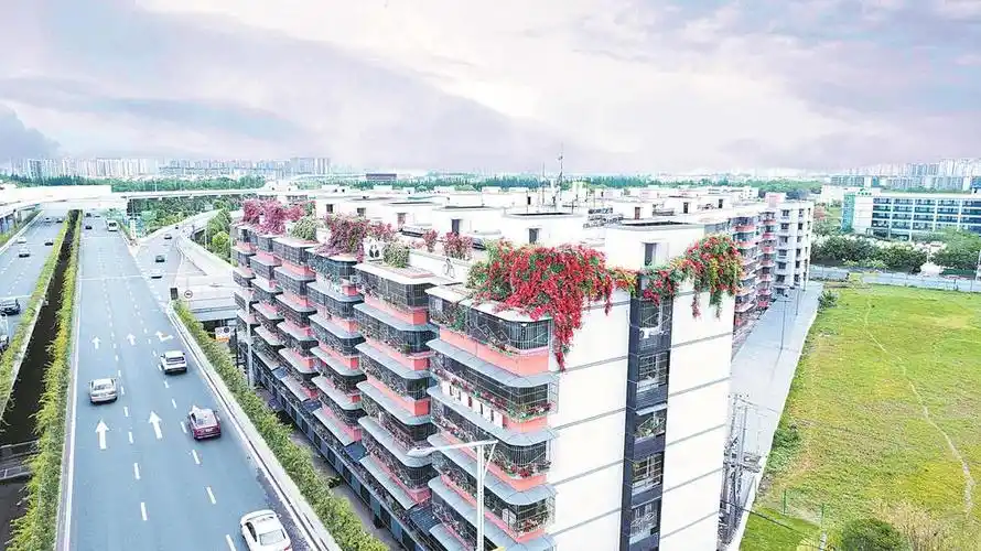 居民当起园艺师阳台变成小花园