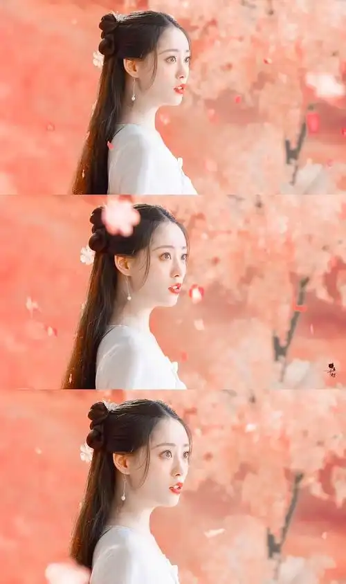 祝绪丹遇龙—流萤