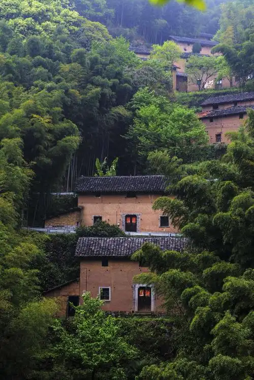 "隐居"富山谷,养花,种菜,"深呼吸"