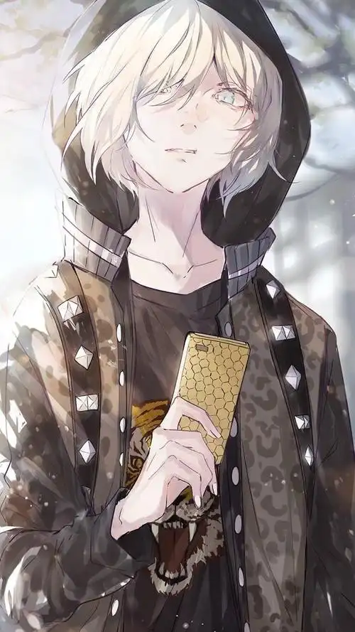 帅帅的二次元男主